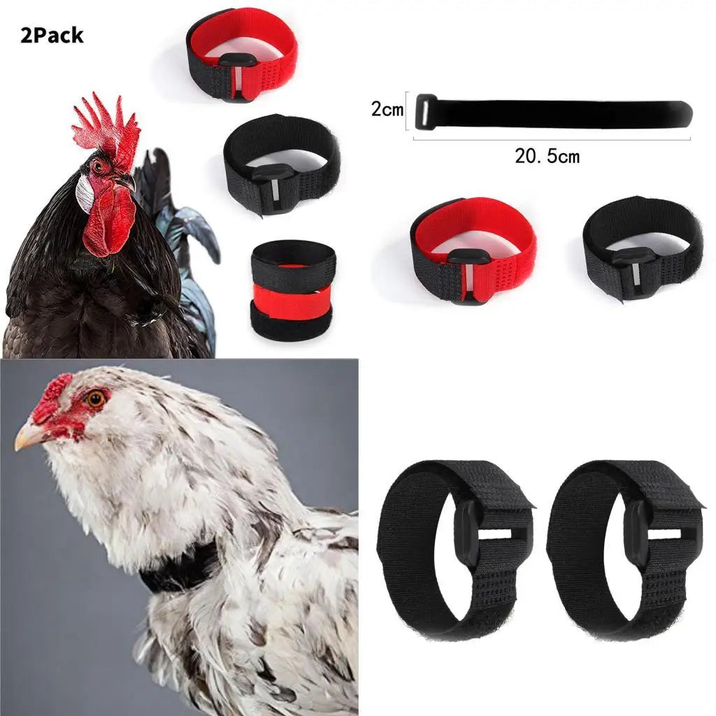 2x Rooster Collar, Chicken Collar Anti-Hook Noise Neckband Noise Neck Belt for Roosters - Chickens from Screaming Zpaxo
