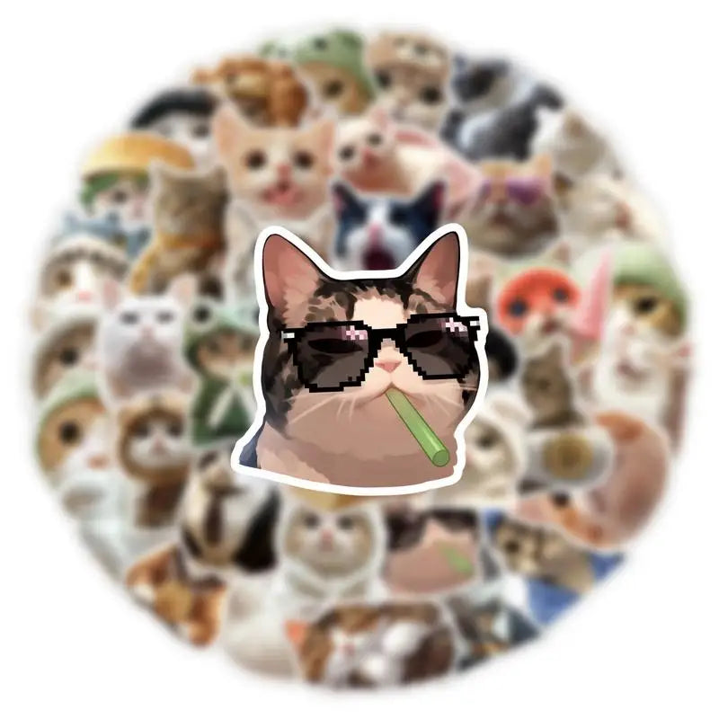 Cat Stickers For Kids Funny Kitten Stickers Waterproof Water Bottle Decals Laptop Supplies For Luggage Guitar Notebooks Zpaxo