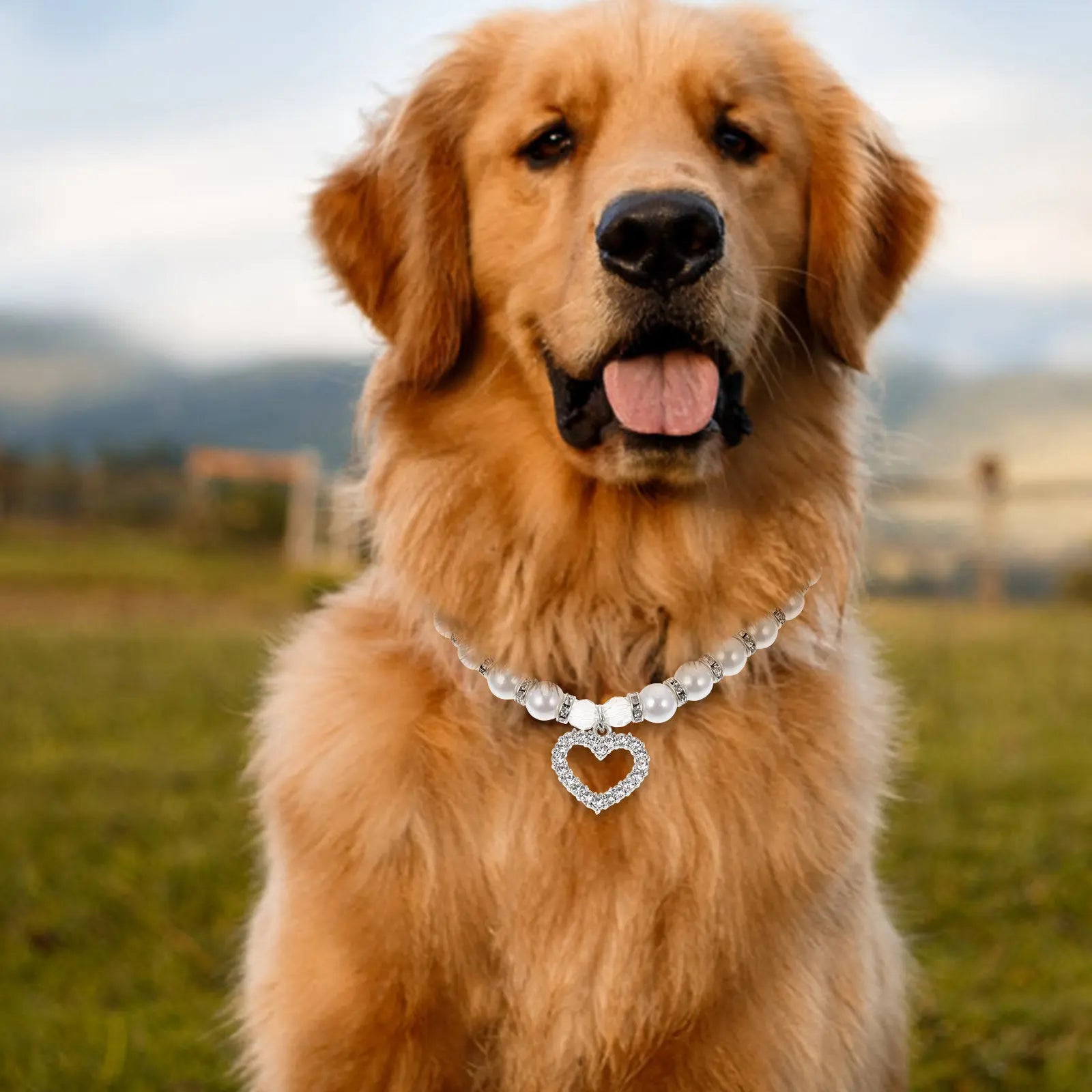 Dog White Pearl Collar Elegant Charming Lightweight Comfortable Pet