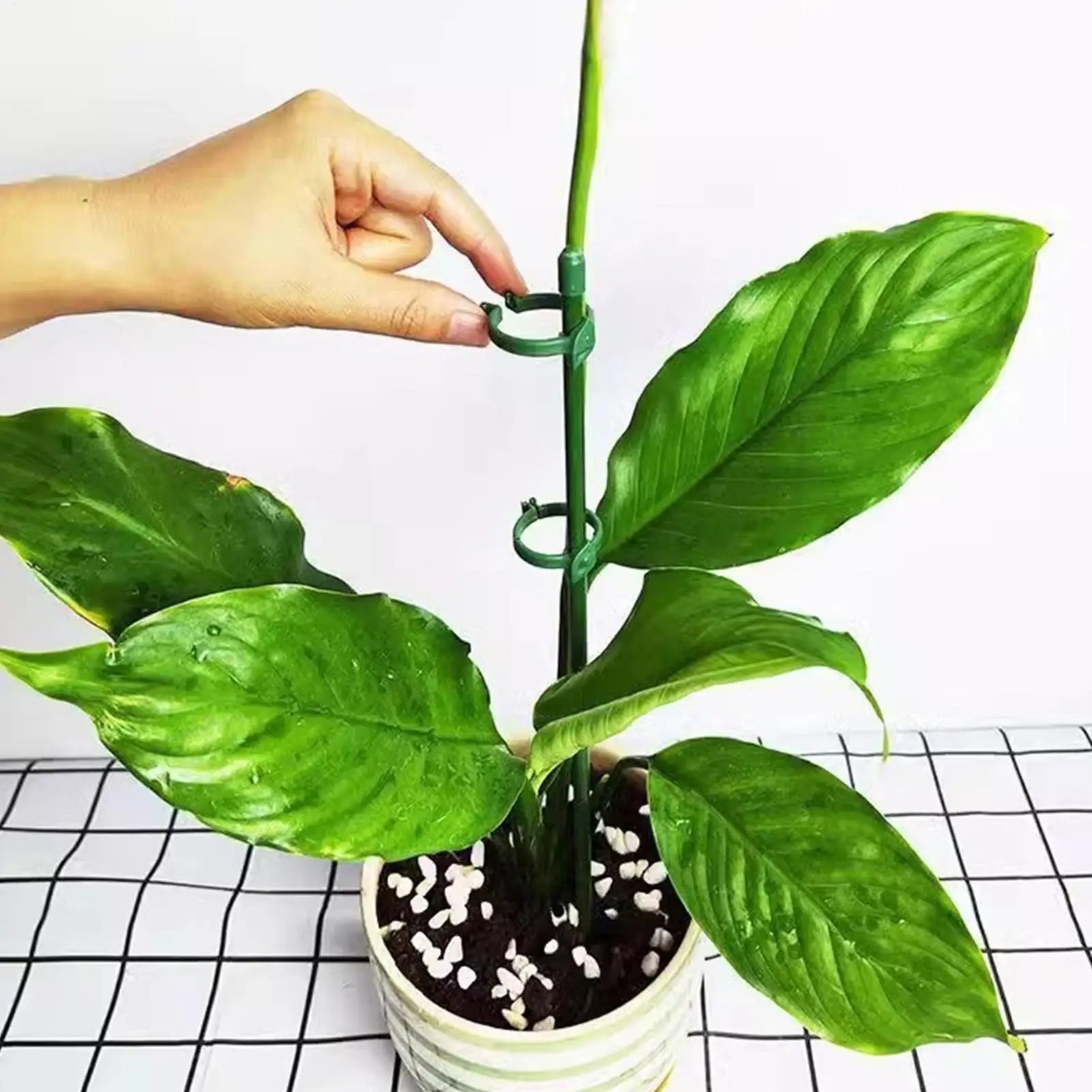 10-Pack Adjustable Plant Support Stakes & Reusable Clips Plant Support Stakes Zpaxo