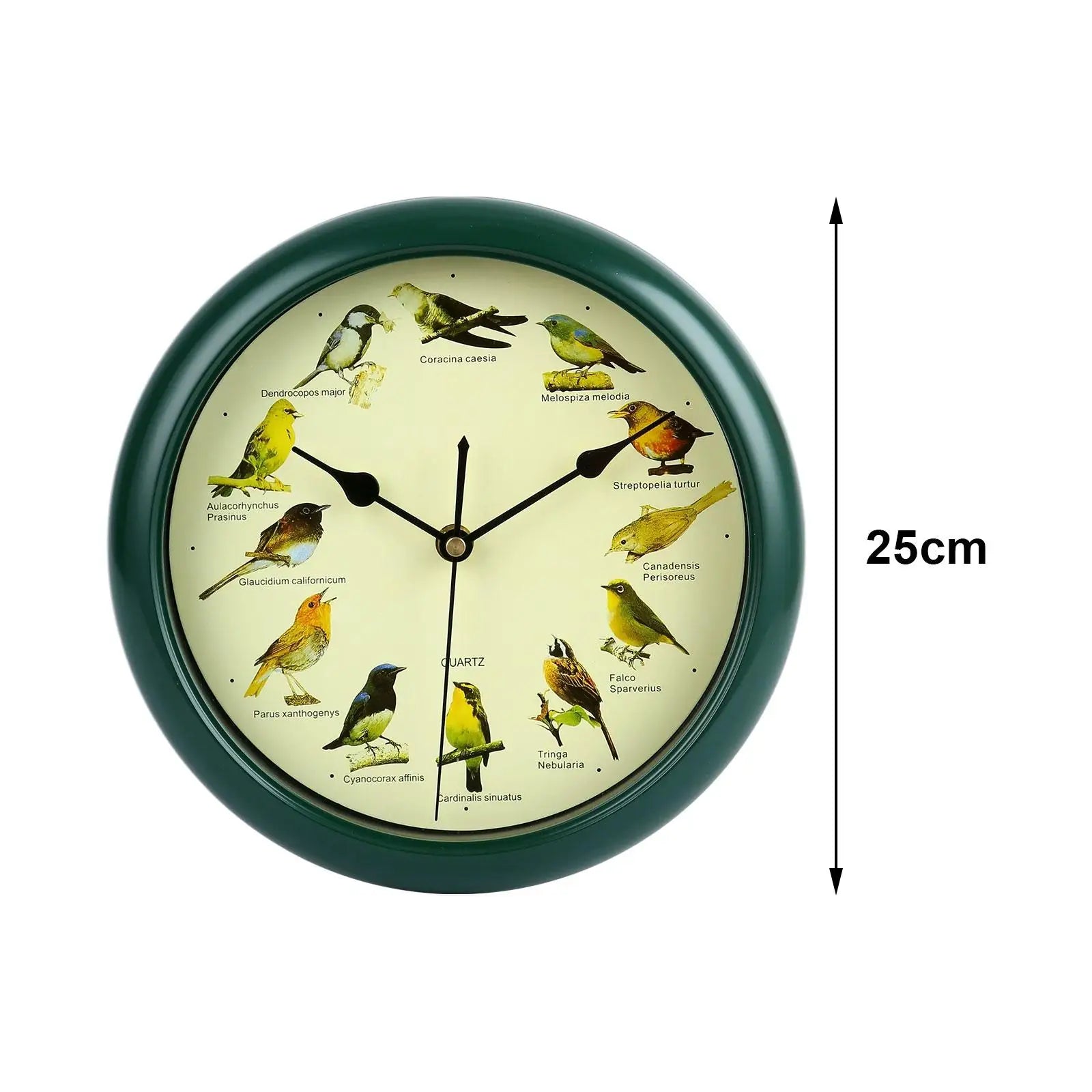 25cm Musical Birds Wall Hanging Sound Clock Battery Operated Household Interior Green Frame for Bedroom Housewarming Gift Zpaxo Default Title