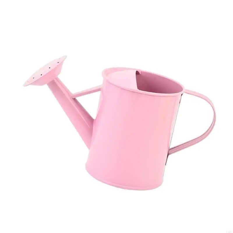 Iron Watering Can Easy Grip Handle Design Precise Indoor Outdoor