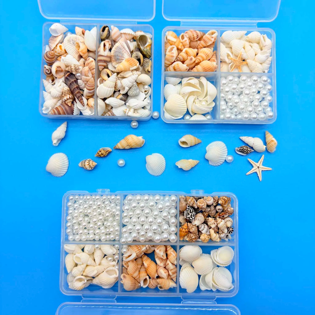 Mixed Mini Seashells Bulk – Crafts, Vase Filler & Fish Tank Decor Craft Shell Decor Zpaxo