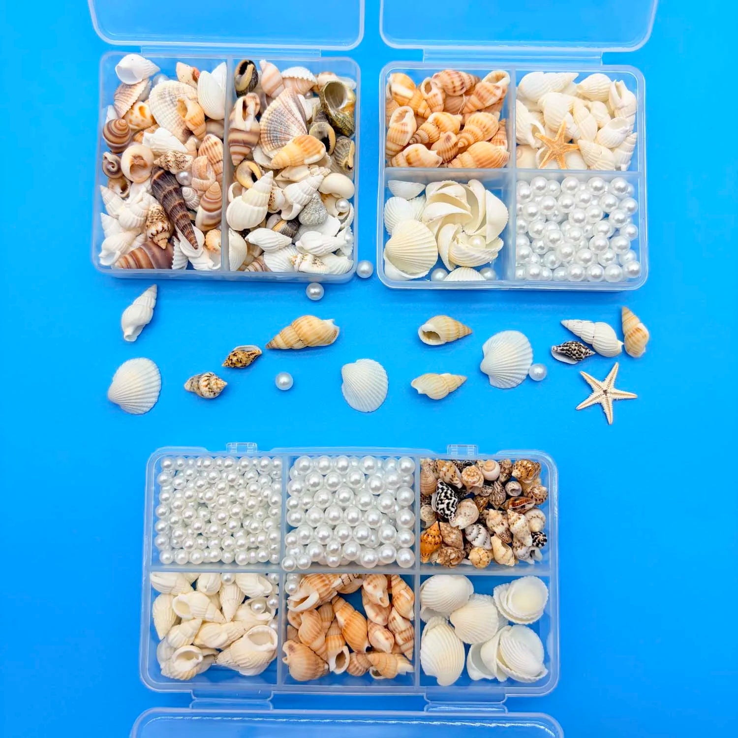 Mixed Mini Seashells Bulk – Crafts, Vase Filler & Fish Tank Decor Craft Shell Decor Zpaxo