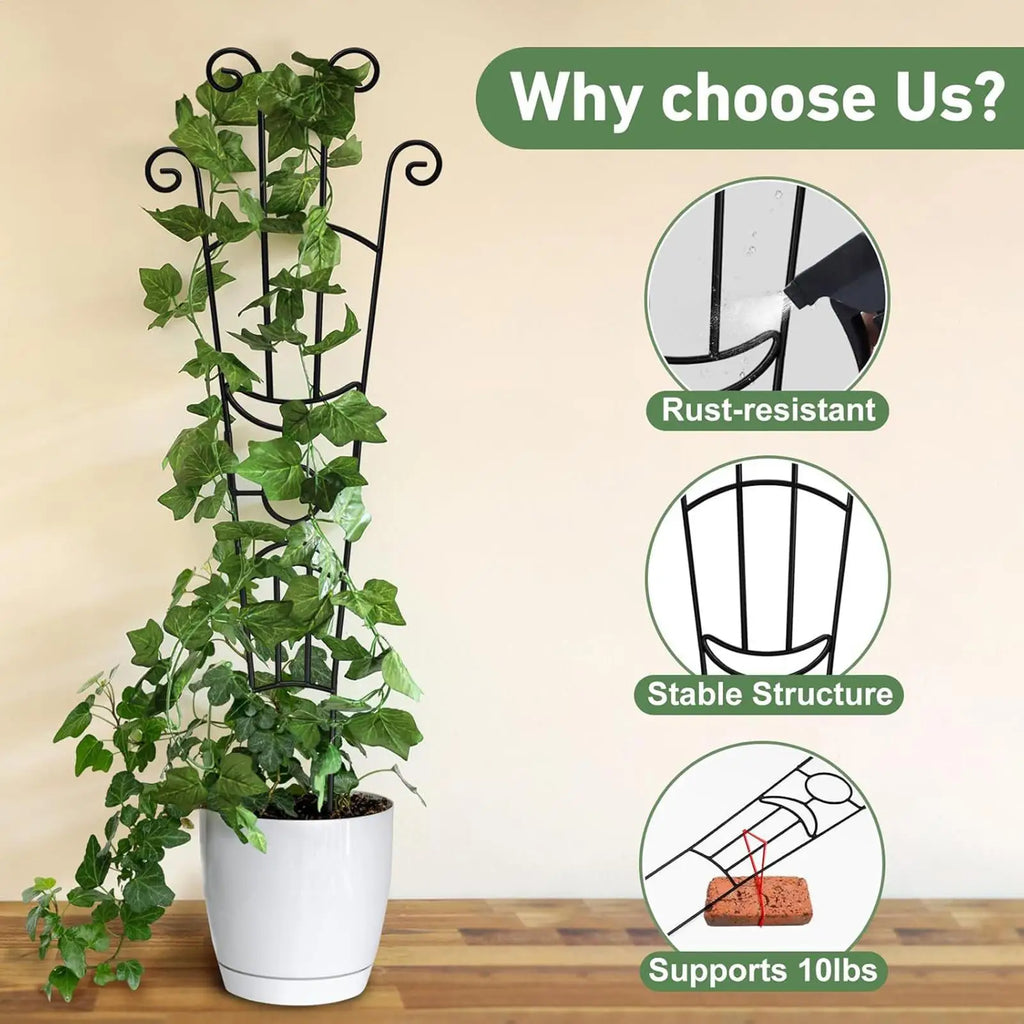 Plant Trellis Metal Plant Support Pothos Support Stakes for Indoor Outdoor Garden Balcony Pothos Monstera Ivy Clematis Gardening Zpaxo