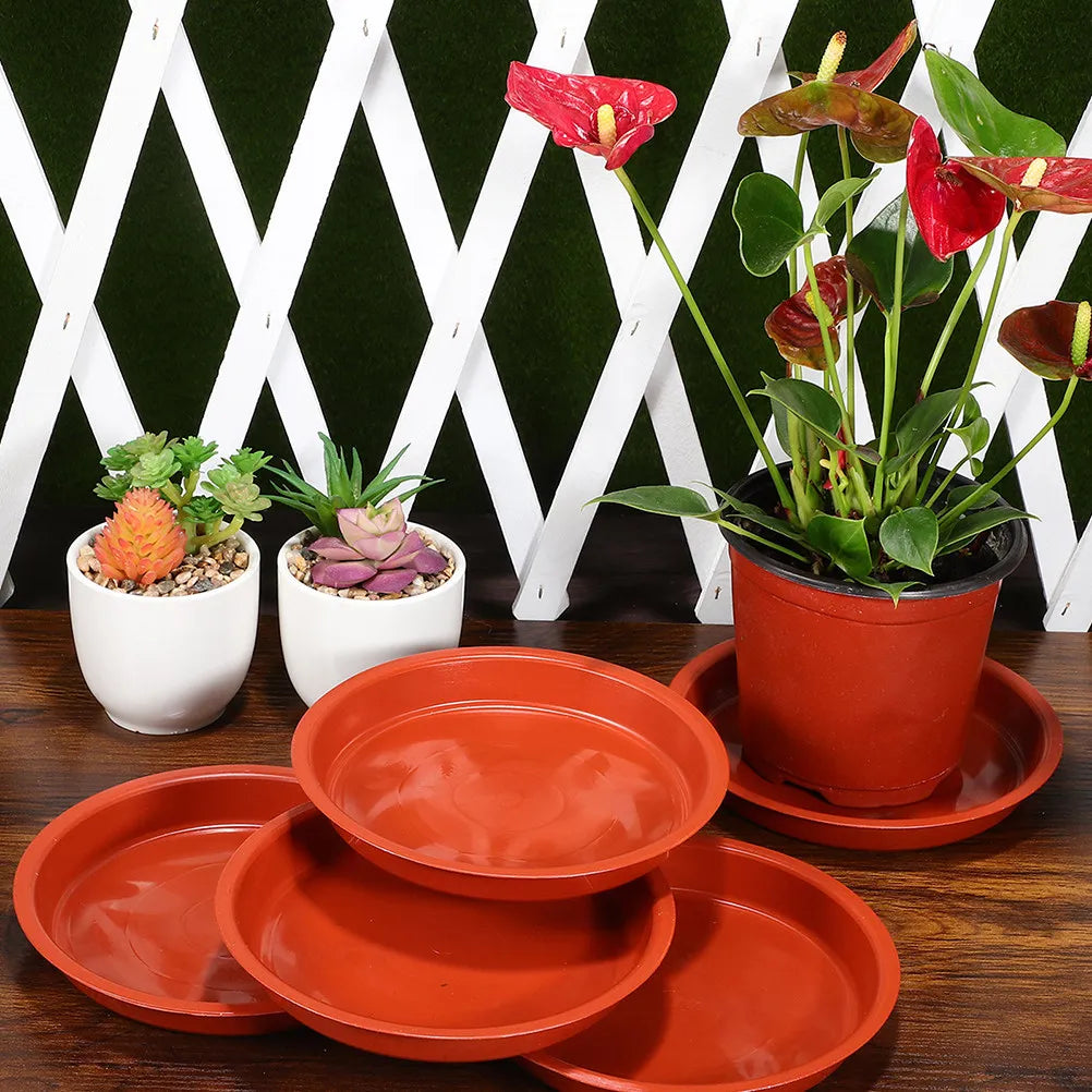 10Pcs Plant Trays Round Plastic Flower Pot Saucers Wear-Resistant Planter Plates Water Catcher Indoor Pots Gardening Accessories Zpaxo