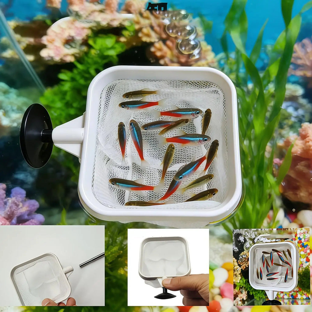 Extendable Long Handle Fine Mesh Net Aquarium Fish Skimmer Pond Pool