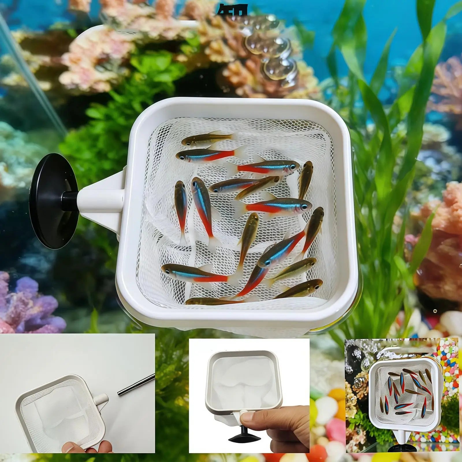 Extendable Long Handle Fine Mesh Net Aquarium Fish Skimmer Pond Pool