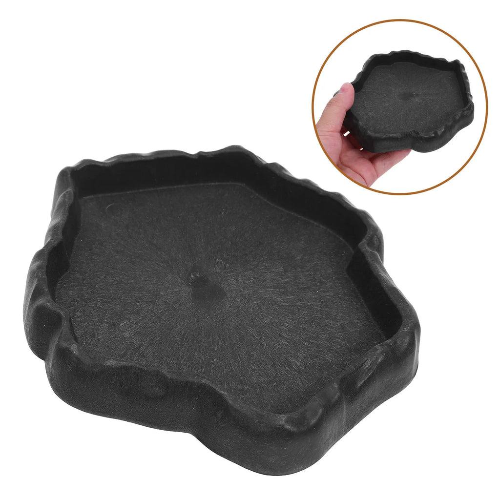 Reptile Feeder Bowl Natural Shallow Stable Base Bearded Dragon Turtle