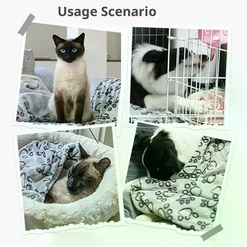 Ultra Soft Fluffy High Quality Pet Blanket Cute Cartoon Pattern Pet Mat Warm And Comfortable Blanket For Cat Dogs Cat Bath Towel Zpaxo