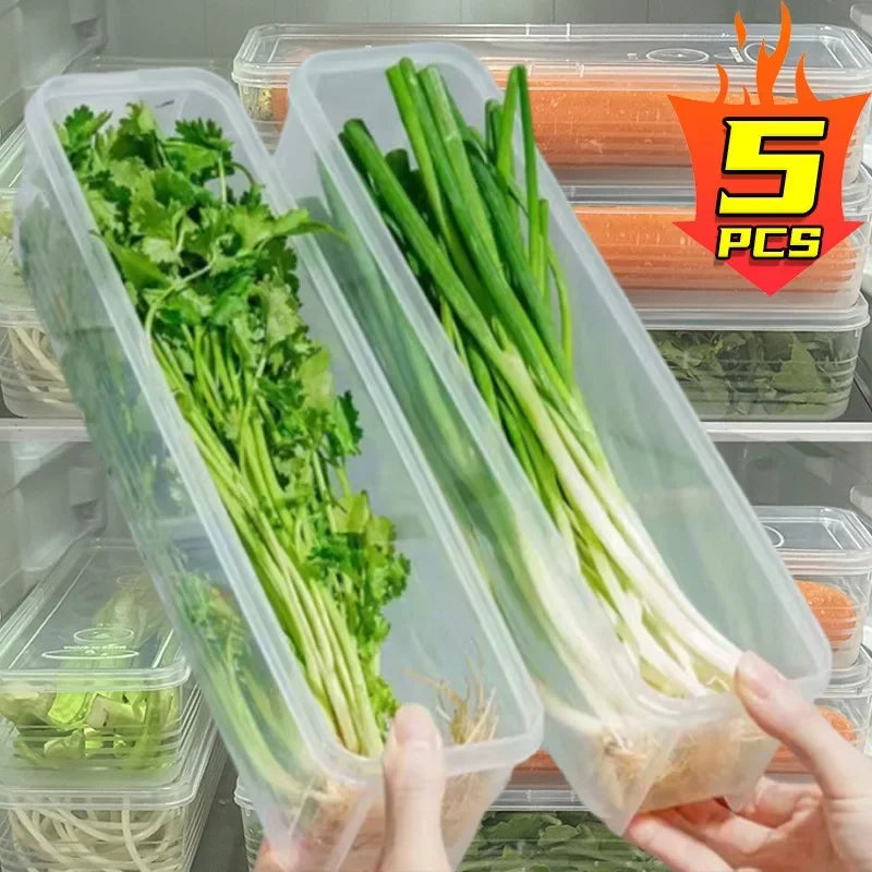 Fresh Box Fridge Herb & Scallion Storage Container with Lid