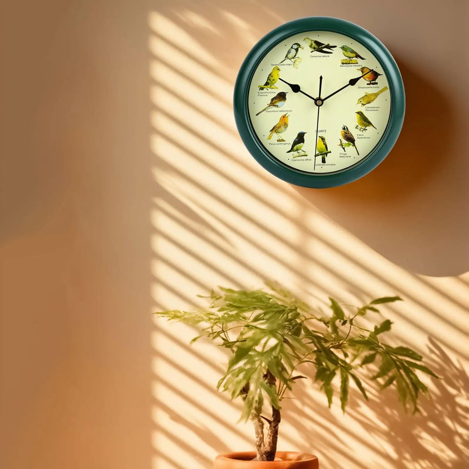 25cm Musical Birds Wall Hanging Sound Clock Battery Operated Household Interior Green Frame for Bedroom Housewarming Gift Zpaxo