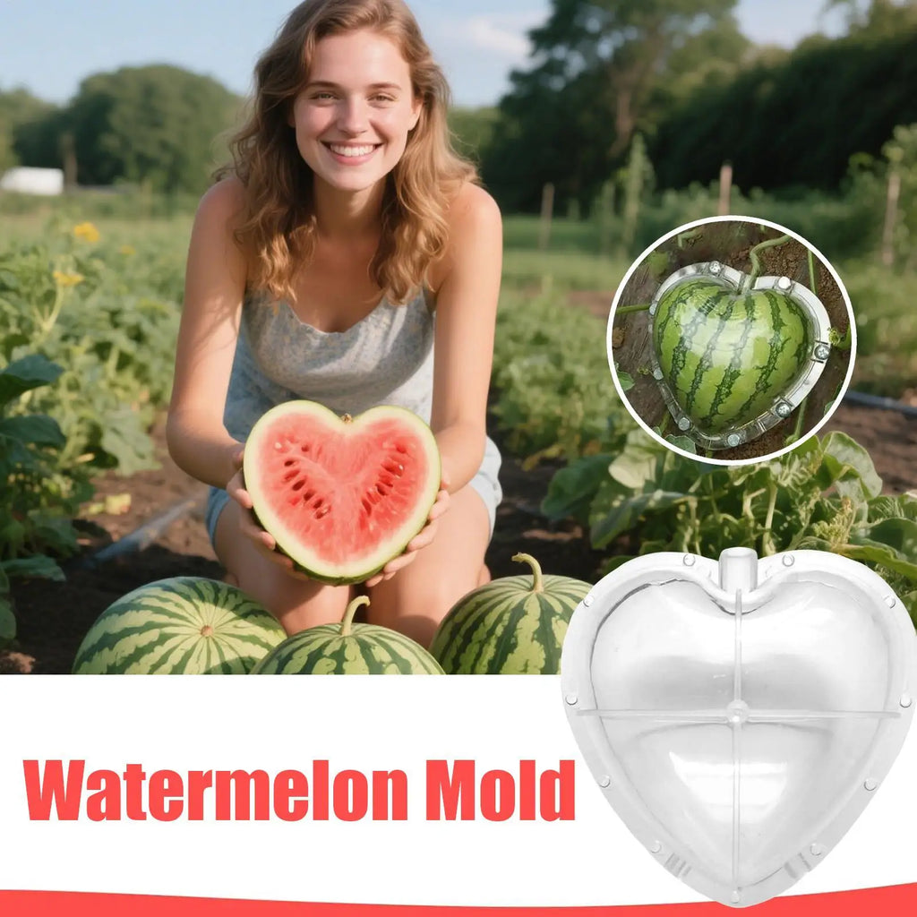 Watermelon Mold Reusable Gardening Supplies Vegetable Pumpkin Shaping