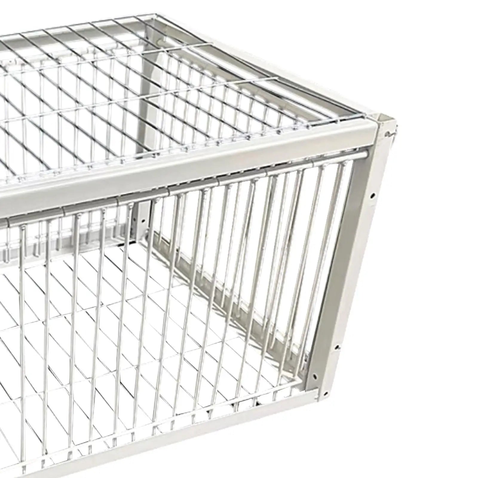 Pigeon Trap Cage – Humane Single Entry Bird Trap for Farms Bird Trap Cage Zpaxo