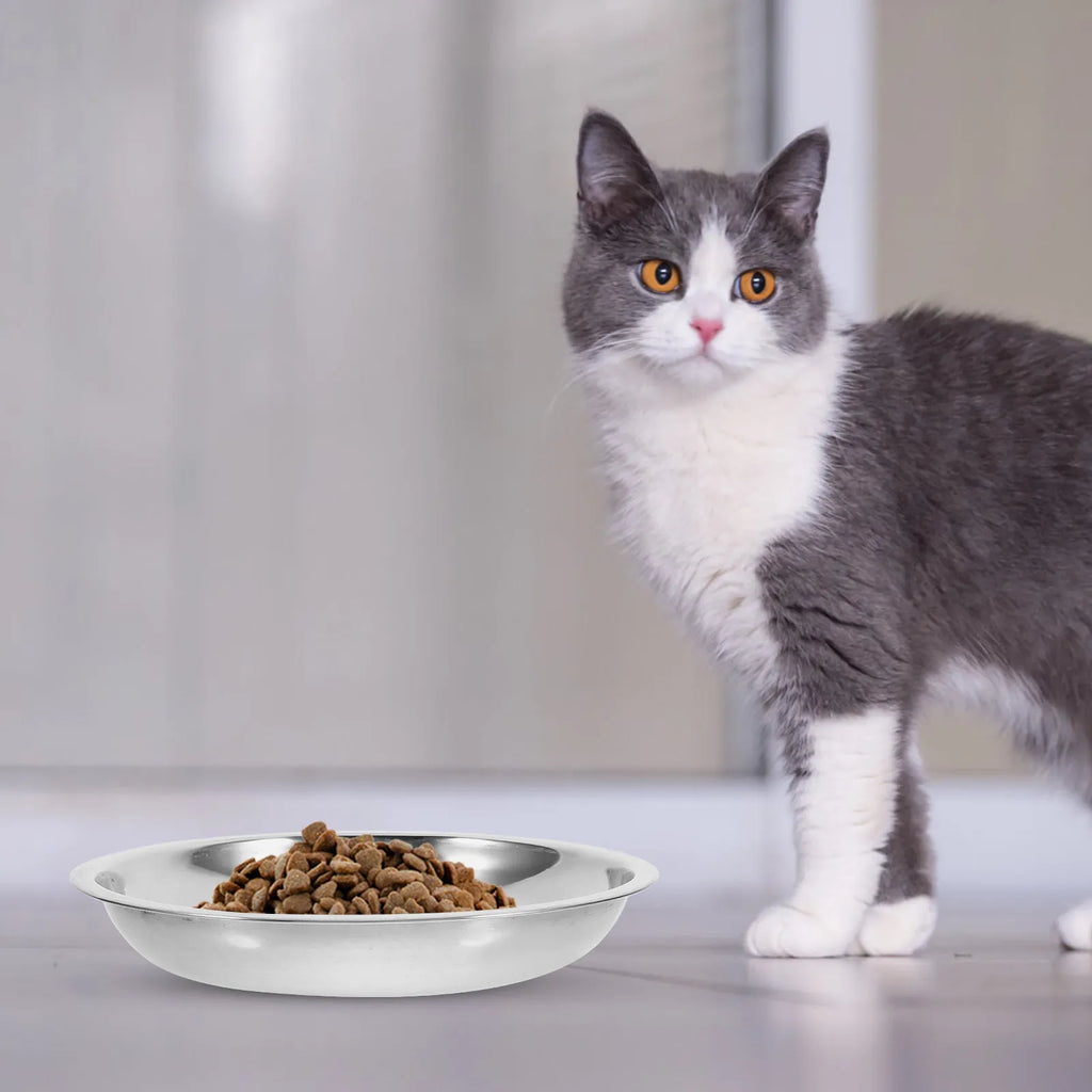 Stainless Steel Pet Bowls Indoor Cats Dogs Safe Rounded Edges Easy