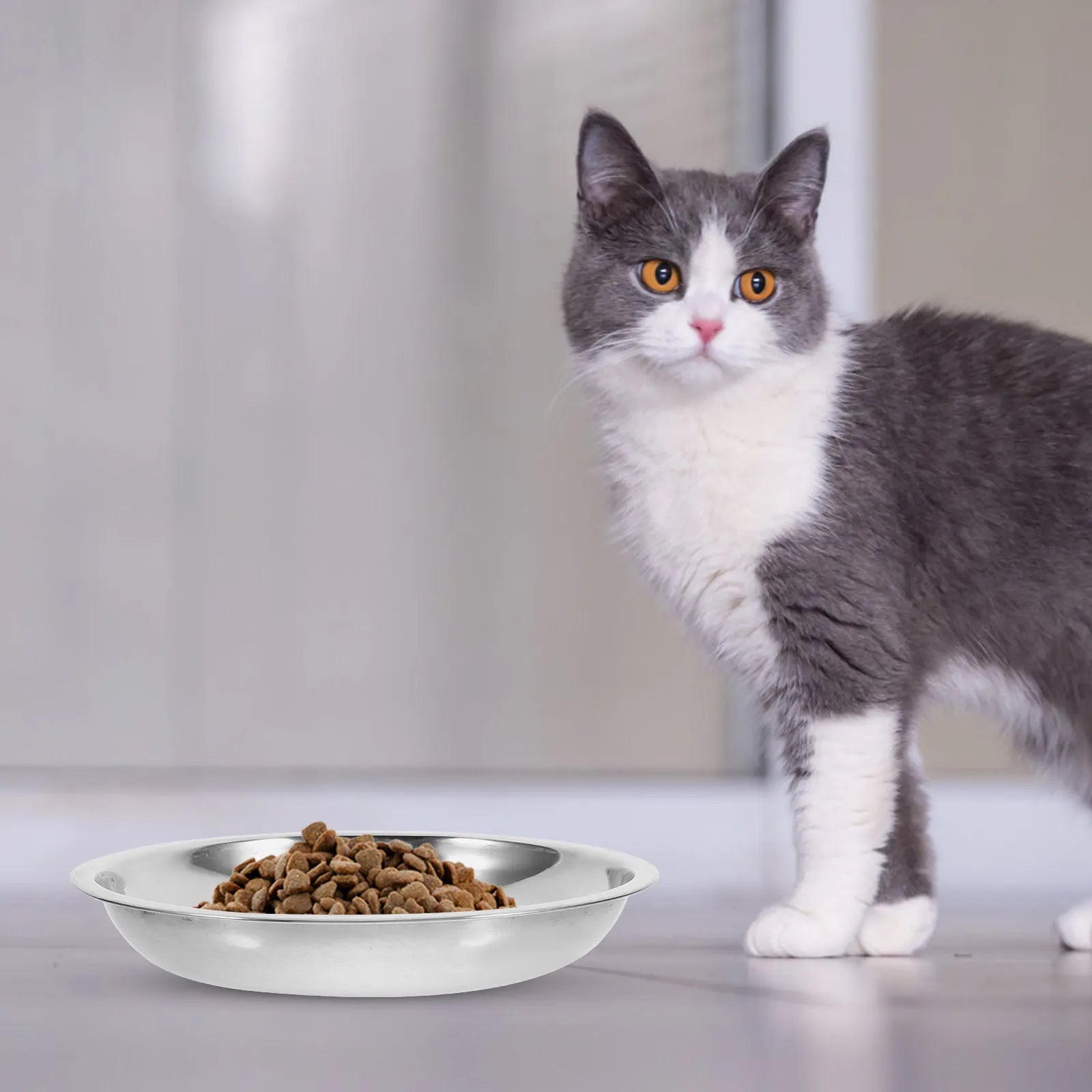 Stainless Steel Pet Bowls Indoor Cats Dogs Safe Rounded Edges Easy