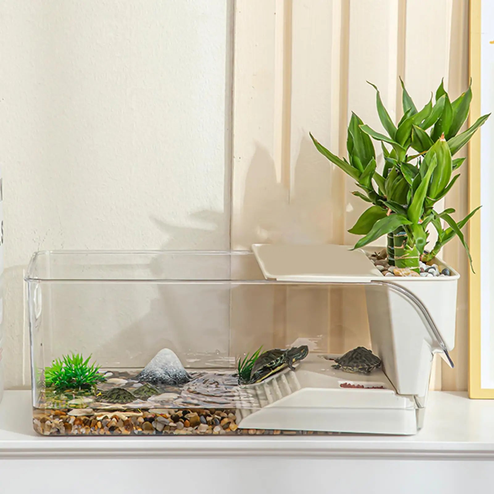 Turtle Tank Cage Clear Area Habitat Basking Stage Crayfish Crabs
