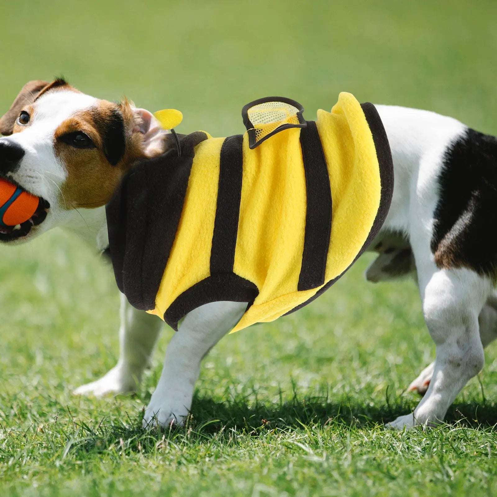 Stylish Bee Design Dog Costume Polar Fleece One-piece Dress-up
