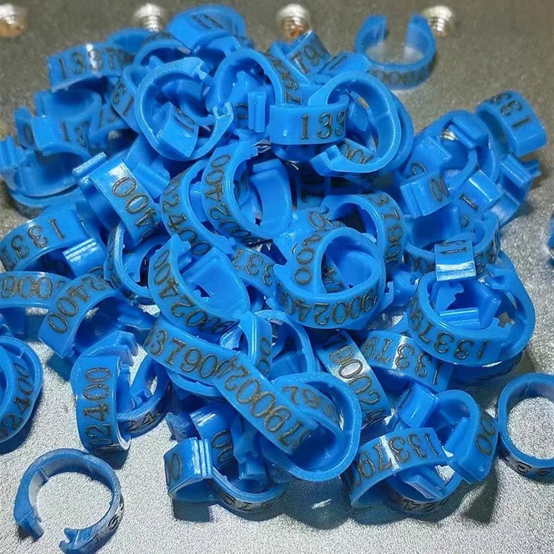 Personalized Inner Plastic Pigeon Dove Bands Rings Custom Laser