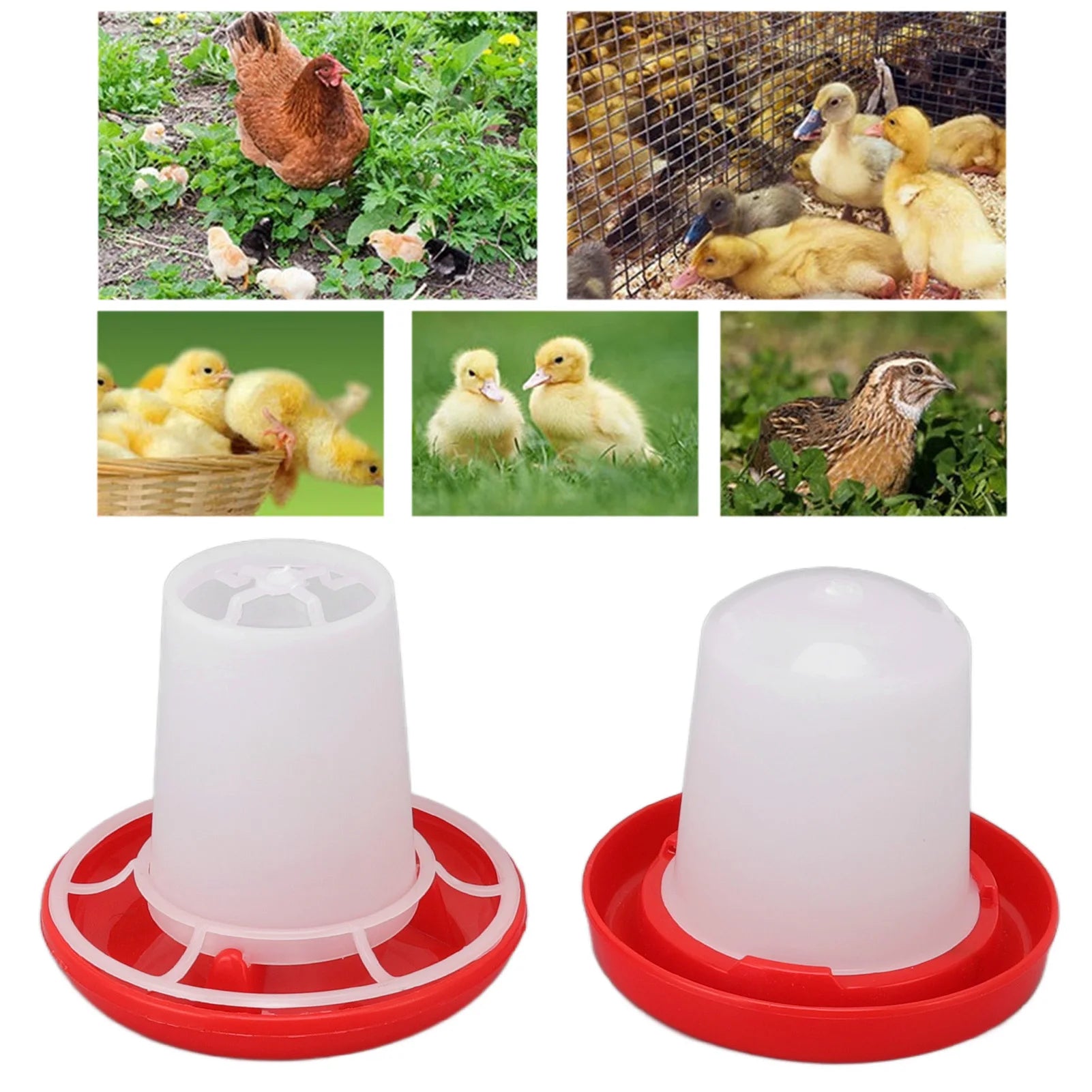 Chick Feeder Easy To Clean Rotary Sleeve Design Automatic Feeding and Watering Chick Feeder and Waterer Kit for Chicks Zpaxo