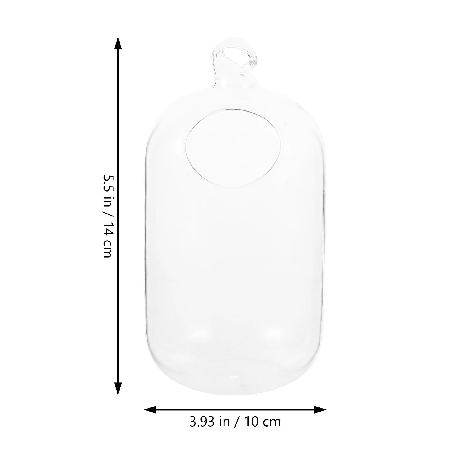 Transparent Hanging Glass Fish Tank Mini Aquarium Infusion Bottle