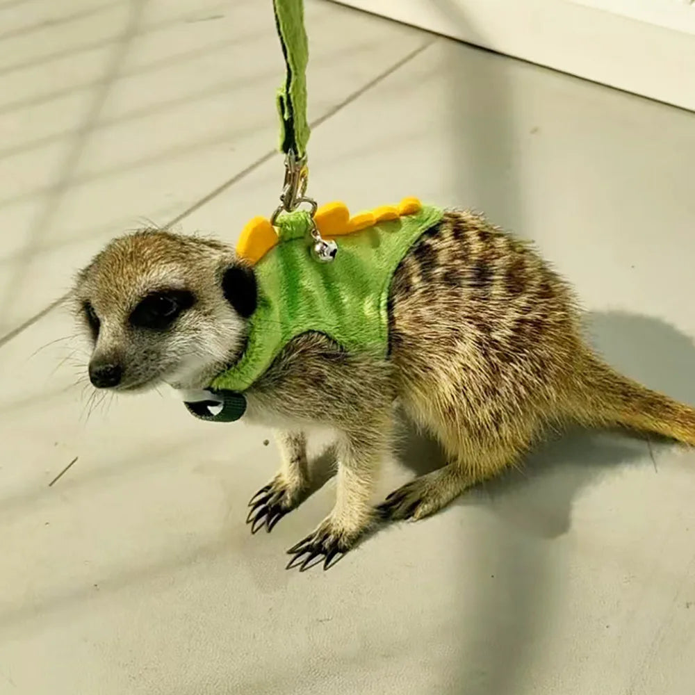 Ferret towing rope vest style adjustable pet rope cute dinosaur shape with bell for outdoor mouse walking rope Zpaxo
