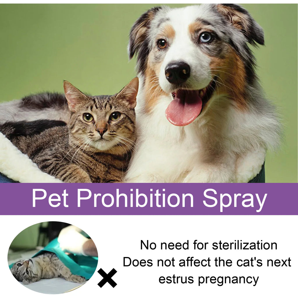 Pet Calming Pheromone Spray for Cats & Dogs – Anxiety Relief Pet Calming Spray Zpaxo