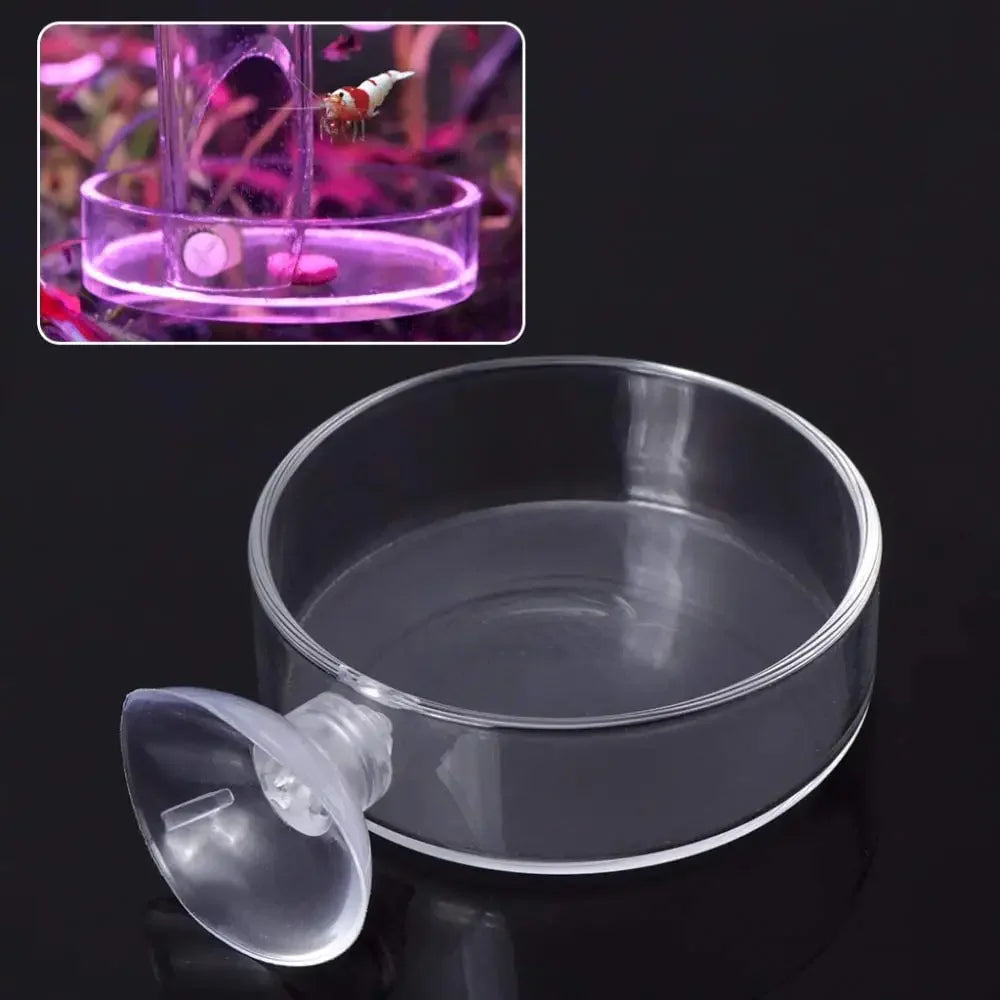 Fish Tank Feeder Aquarium Shrimp Acrylic Feeding Bowl Clear Dish Tray