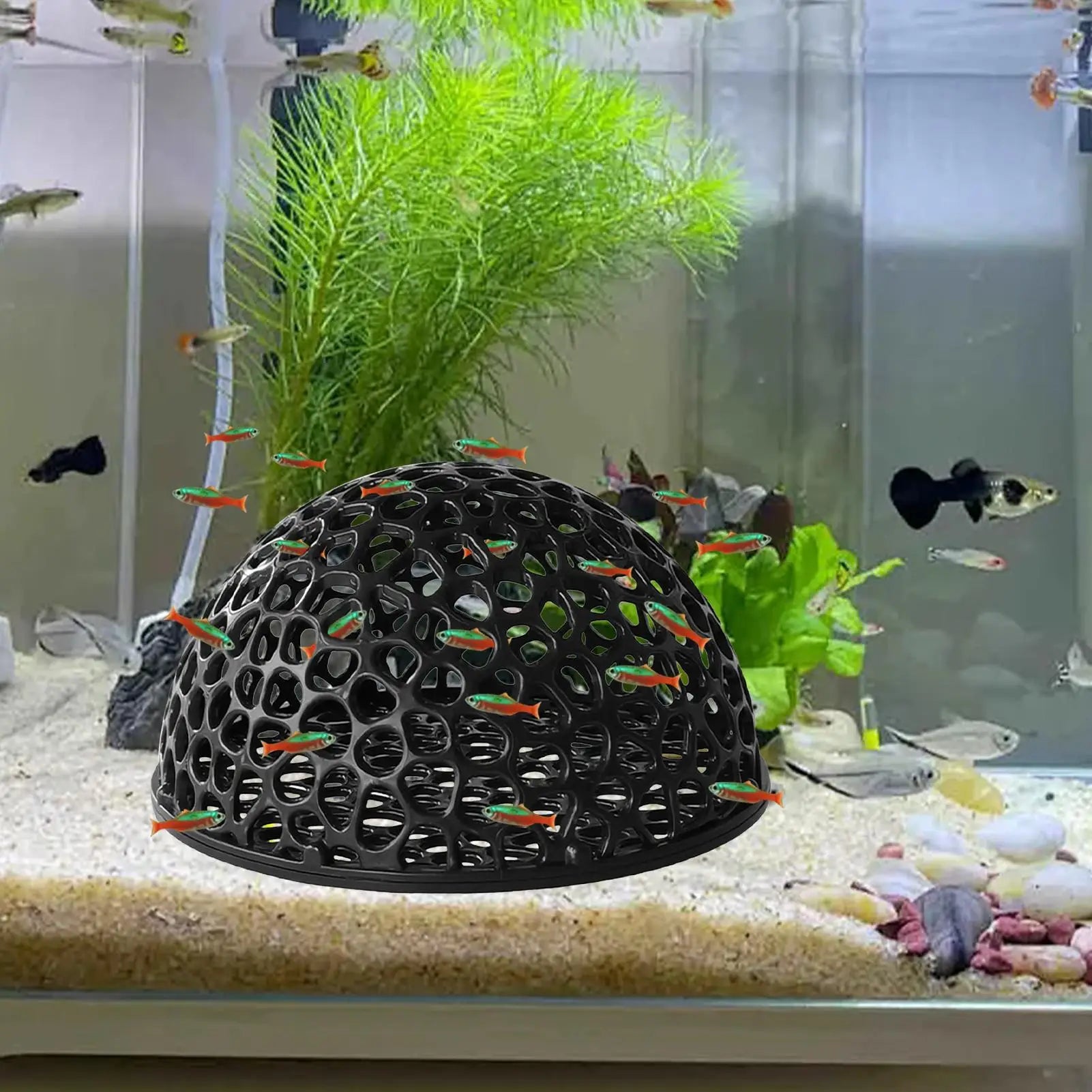 Aquarium Shrimp Hide Small Fish Breeding Hiding Tools Supplies Hollow