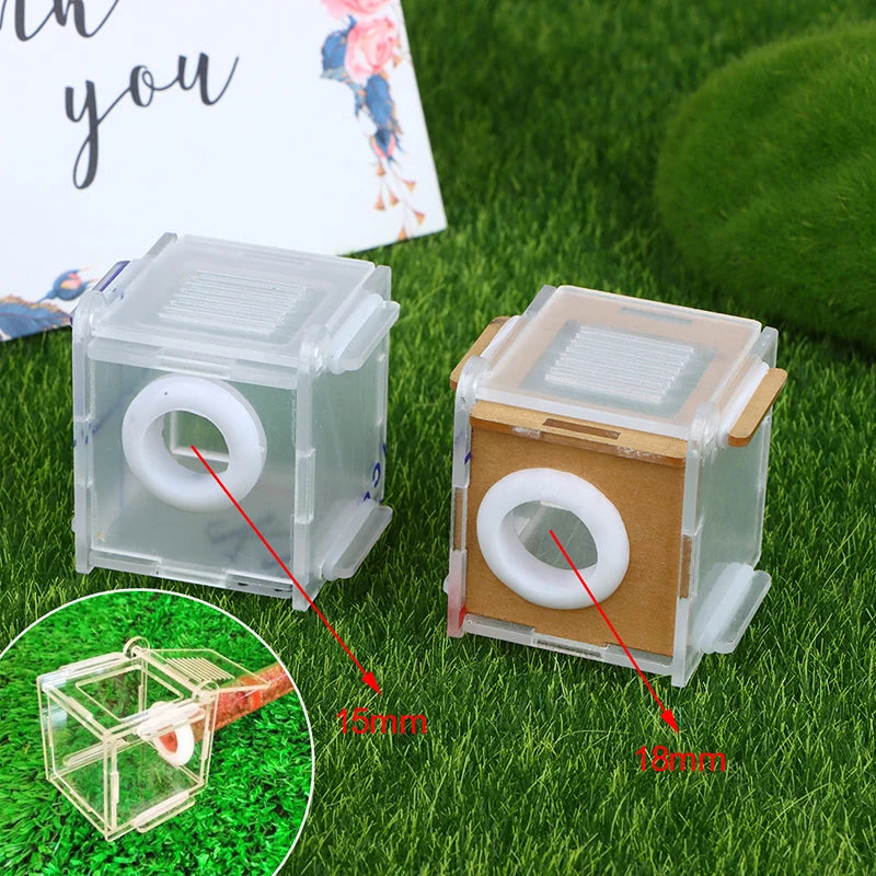 Ant Nest Glass Tube Mini Active Zone Insect House Acrylic Farm 15