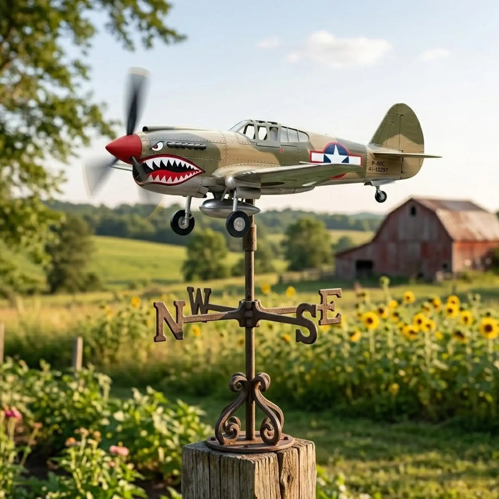 Wind Vanes Outside Historical Sculpture Smooth Rotating Propeller