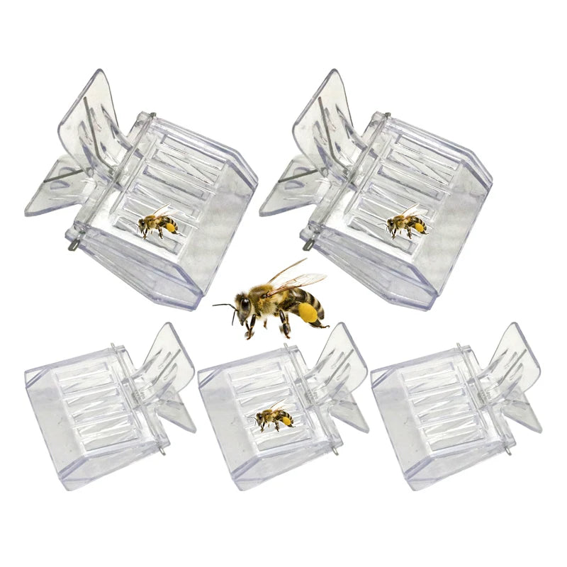 Durable Plastic Clear Beekeeping Clip Queen Bee Cage No-hurt