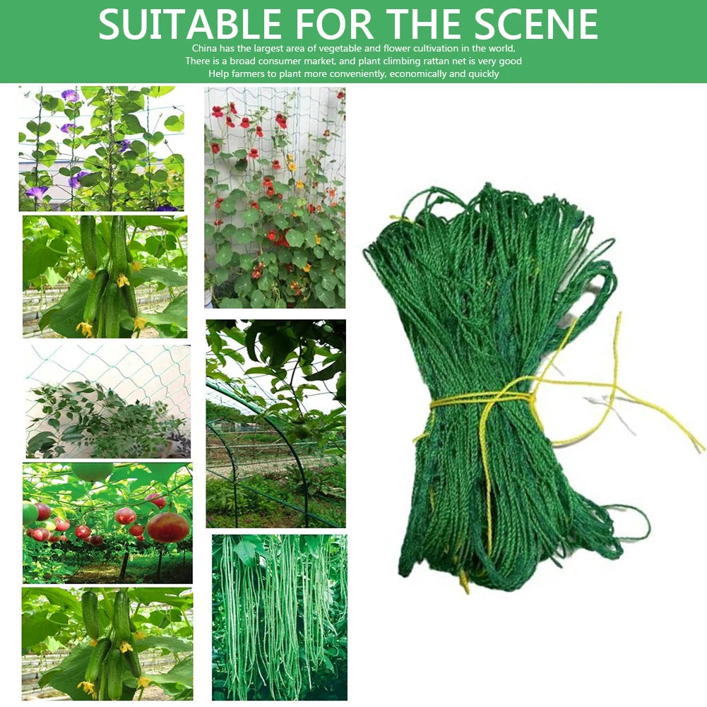 Multifunctional Climbing Rattan Net Green Gardening Lattice Zpaxo