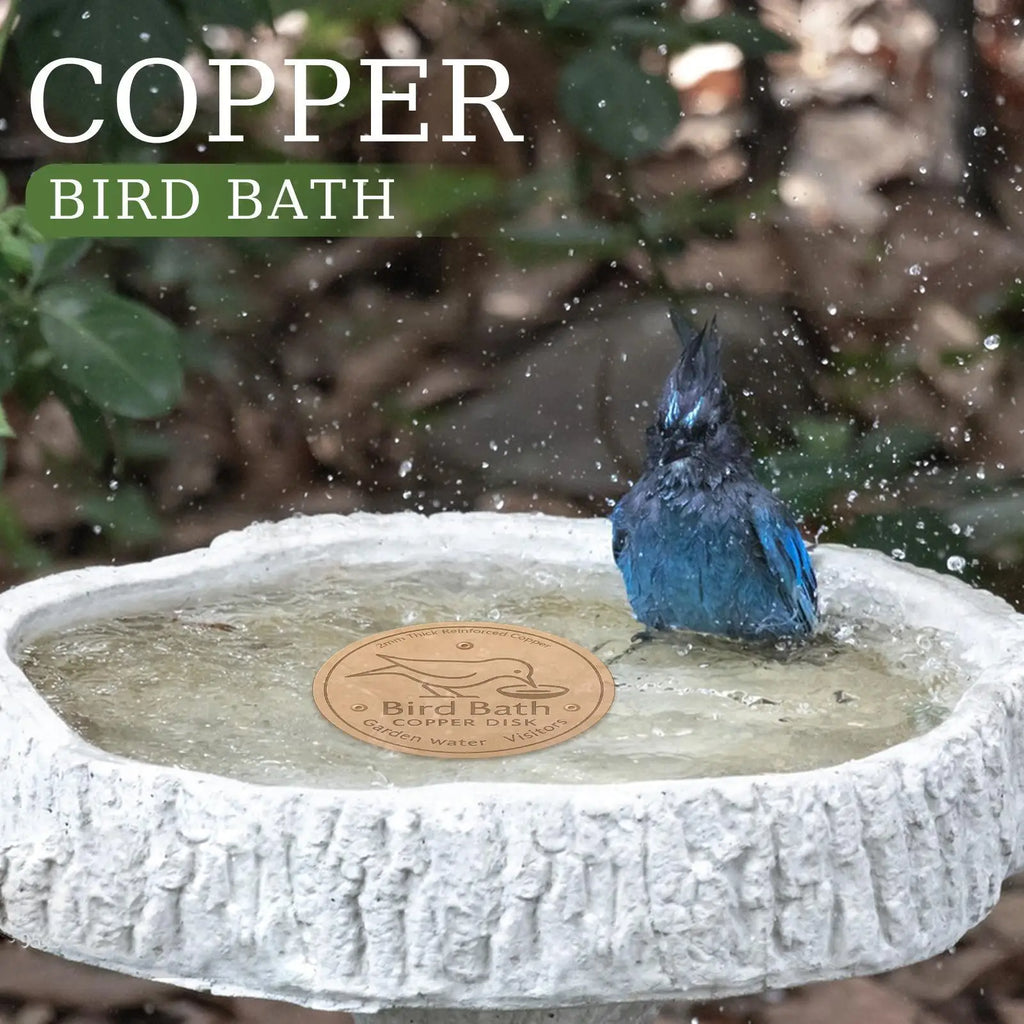 Bird Bath Copper Disk Birdbath Cleaner Feeder Accessories Triple-Point Support Purification Disc for Water Bowl All-Season Zpaxo