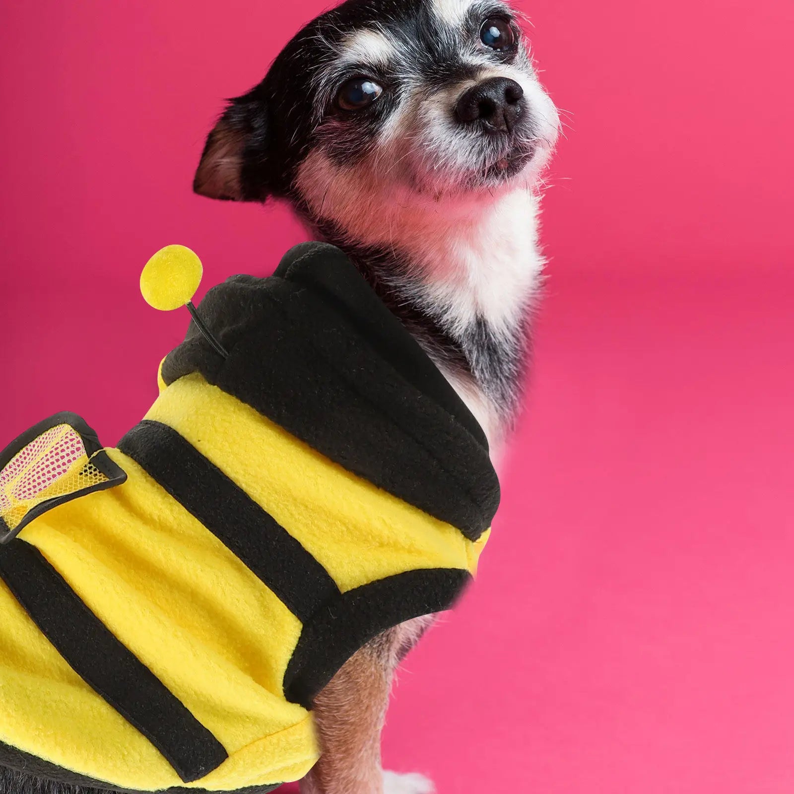 Stylish Bee Design Dog Costume Polar Fleece One-piece Dress-up