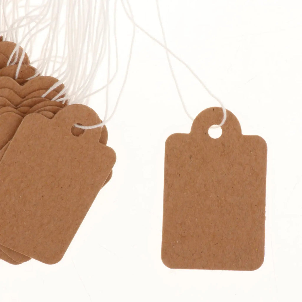 100Pcs Paper Tags with String Attached Marking Strung Tags Price Display Tags for Wedding Retail Product Jewelry Birthday Zpaxo