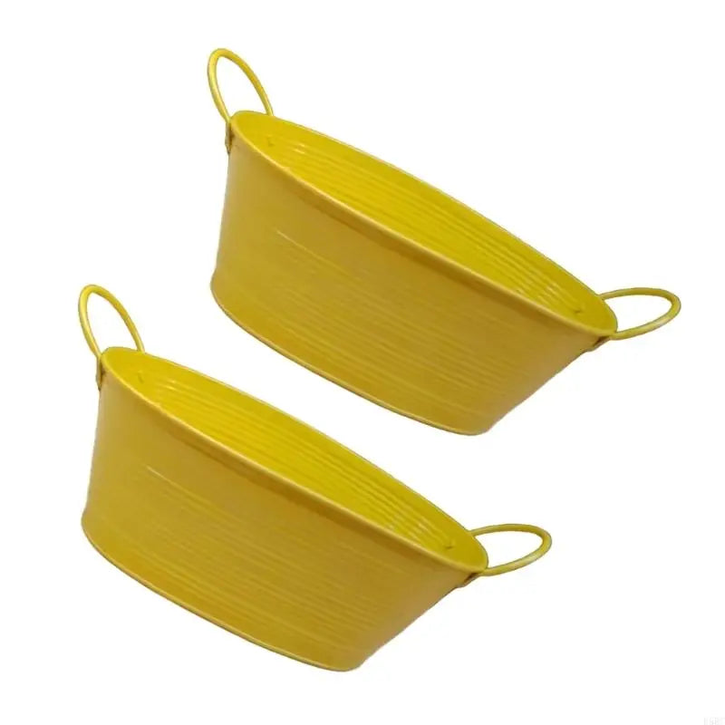 Oval Iron Planter Container Tabletop Garden Balcony Party Decoration