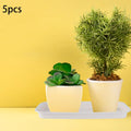 5 Pieces Plant Saucers Plant Trays Planter Trays Plant Pot Saucers for Yard Balcony Windowsill Indoors Outdoor Courtyard Zpaxo WHITE