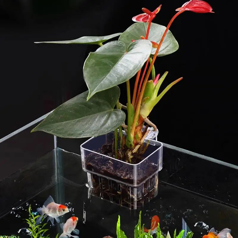 Aquarium Plant Holder Aquarium Plant Basket with Hook Fish Tank Plant Cup Aquatic Plant Cup Aquarium Decorations Plants Pot Zpaxo