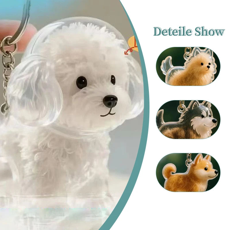 Transparent Cat Dog Hair Storage Box Pendant Keychain Collect Pets Hair Commemorate Bag Pendant Save Cat Hair Storage Capsule Zpaxo