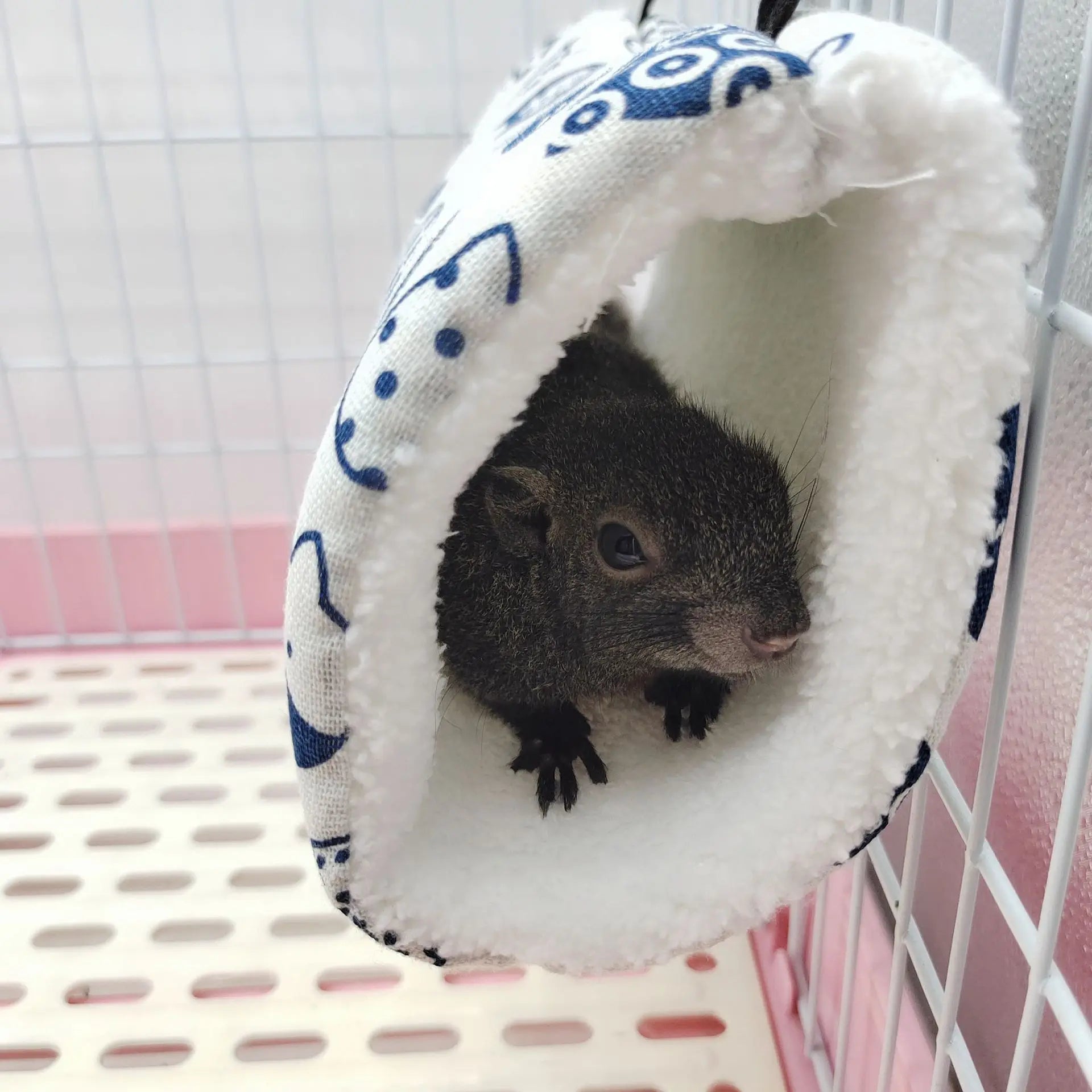 Random Small Pet Tunnel Honey Bag Gliding Mink Sprig Rat Guinea Pig