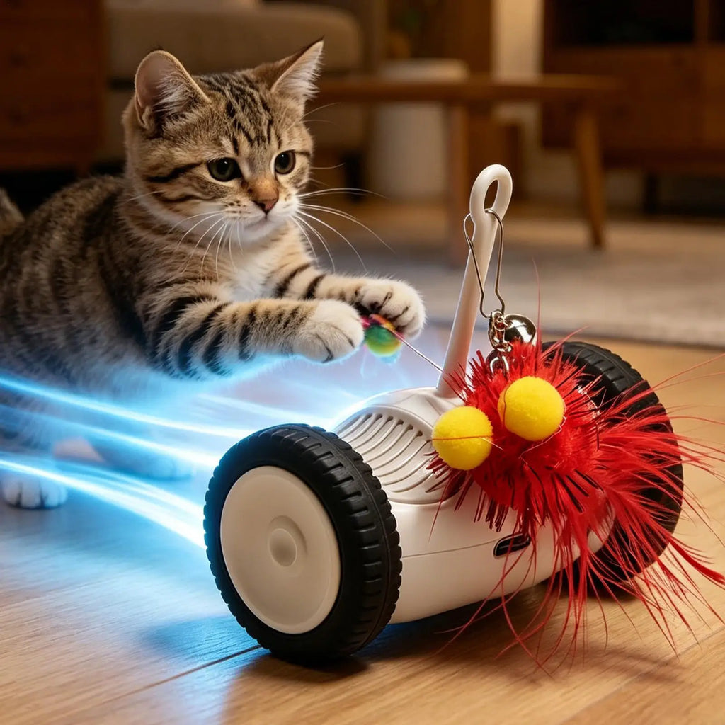 Indoor Cat Toy Car Rechargeable LED Red Light Automatic Interactive