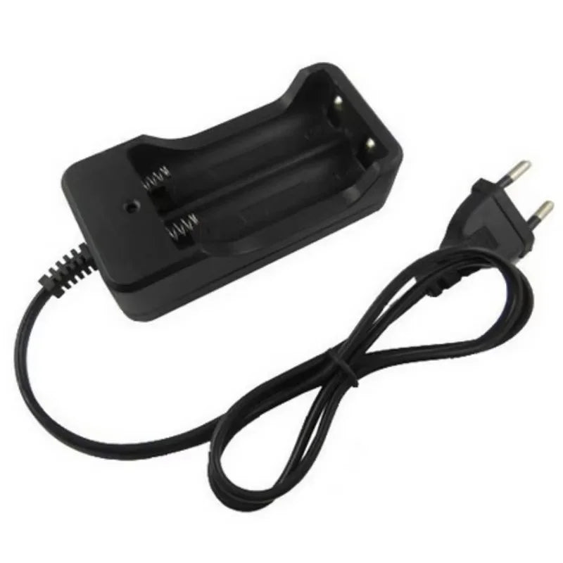18650 Battery Charger EU Plug Dual Slots Smart Charging Fast 14500 Zpaxo