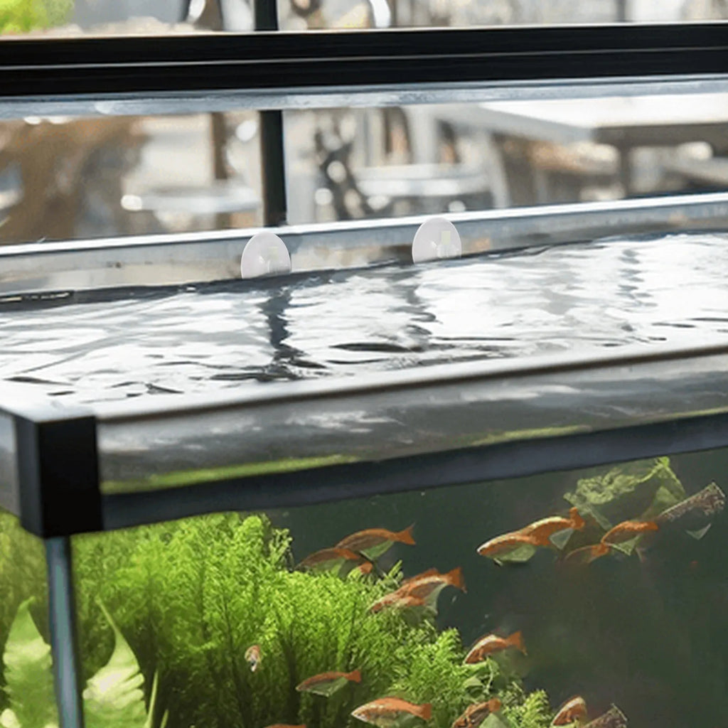 Aquarium Floating Plant Fence Plants Separator Fish Feeding Ring