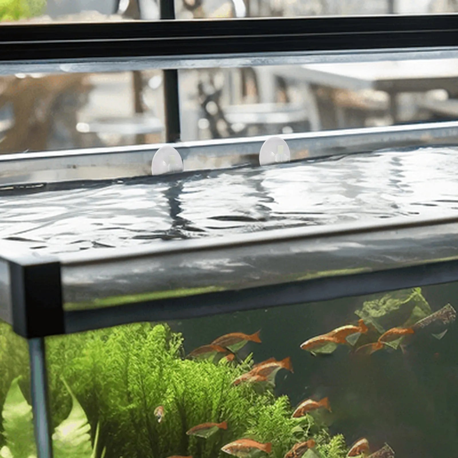 Aquarium Floating Plant Fence Plants Separator Fish Feeding Ring