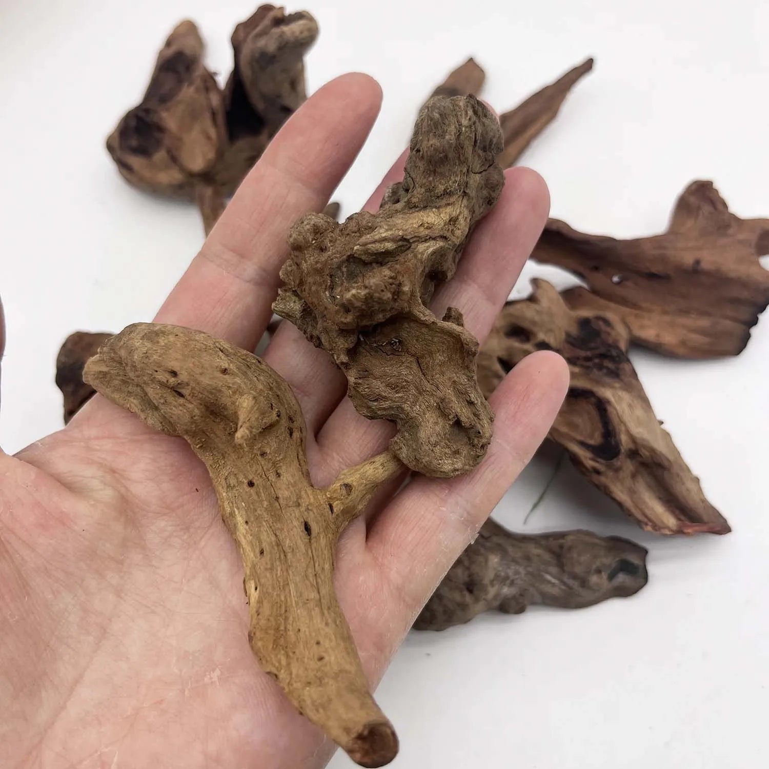 3/6PCS Natural Small Driftwood for Aquarium Decor Fish Tank Decorations Decor Assorted Driftwood Branch Reptile Tank Wood Decor Zpaxo 3PCS 5-10CM