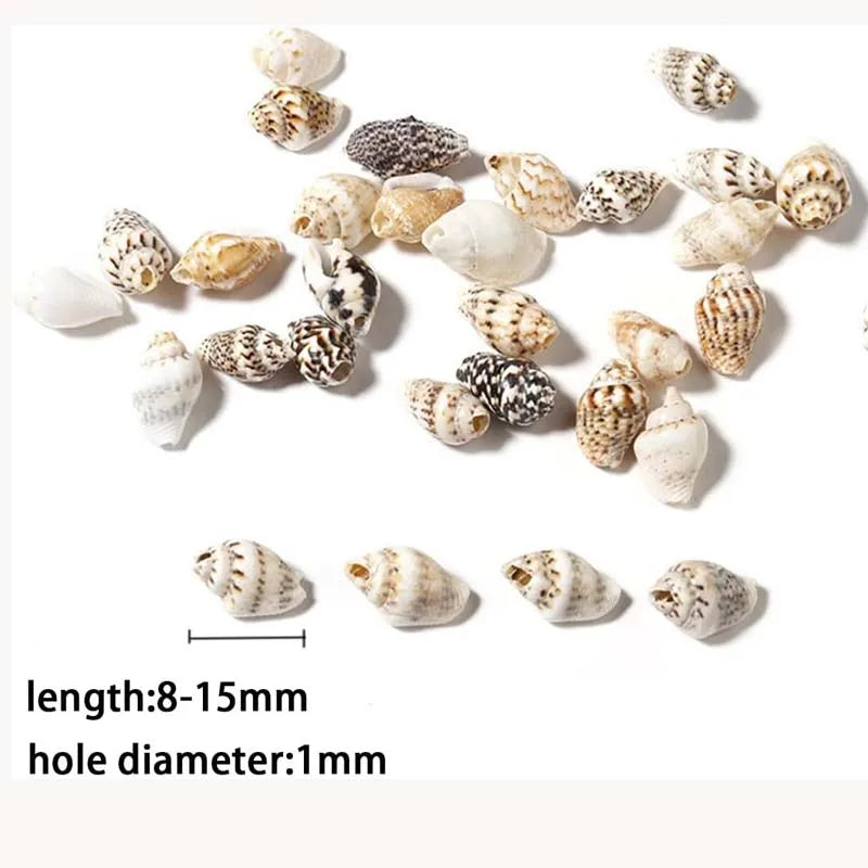100pcs Miniature Fairy Garden Seashells – Vase Filler & Decor Decorative Seashells Zpaxo 20g about 100pcs