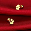 Fashion Stainless Steel Frosted Four-leaf Clover Stud Earrings Women Zpaxo A5