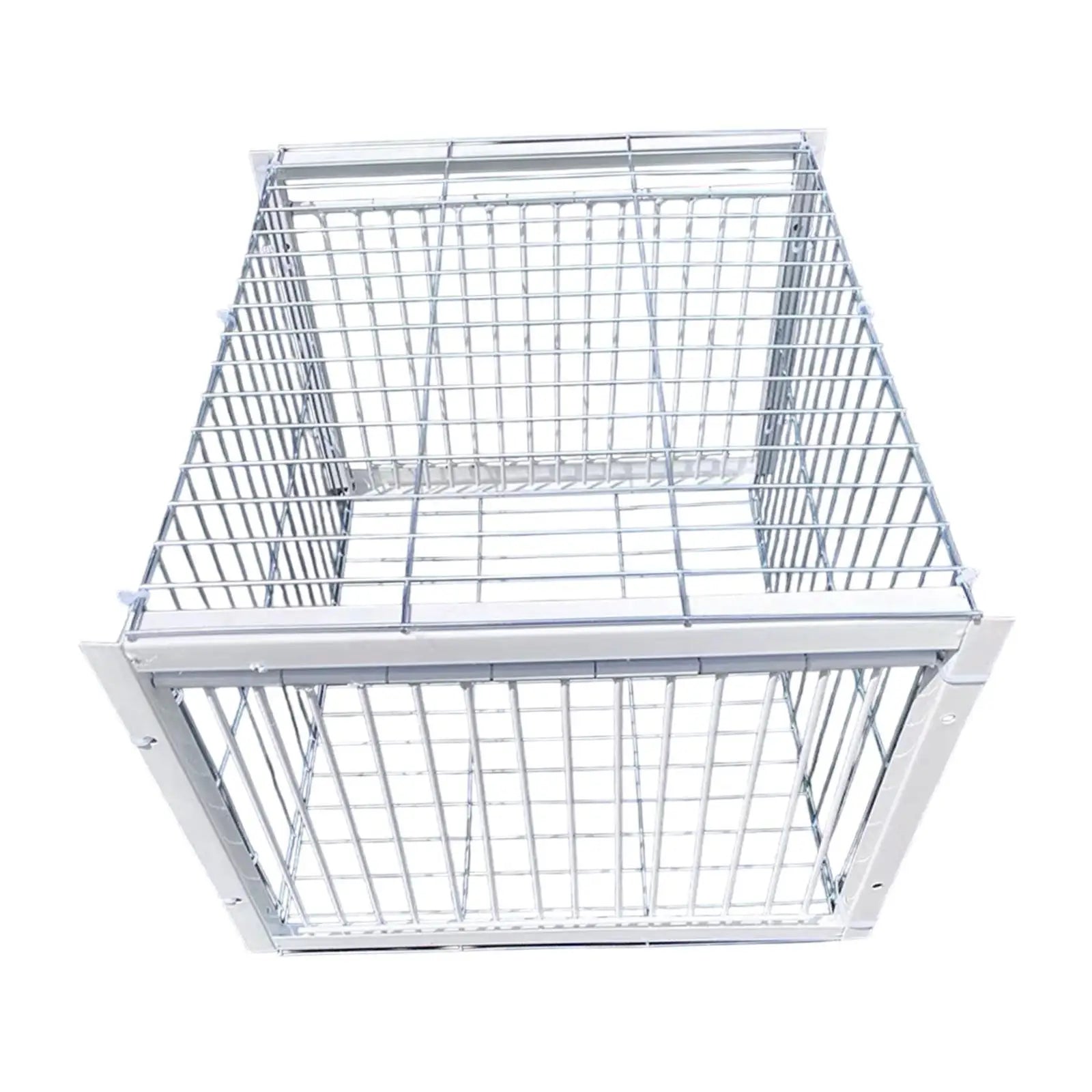 Pigeon Trap Cage – Humane Single Entry Bird Trap for Farms Bird Trap Cage Zpaxo 2 Way Entrance