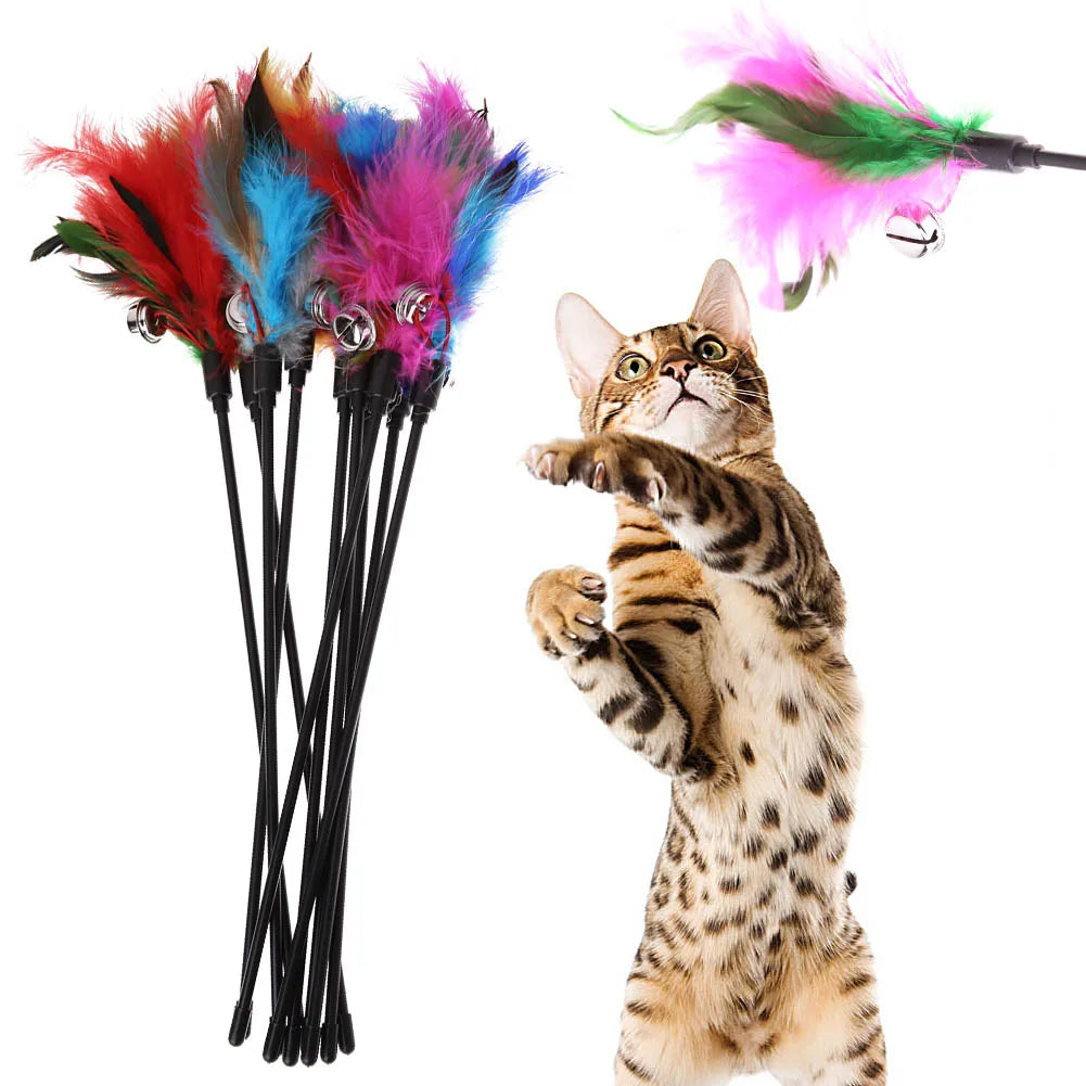 Interactive Funny Cat Stick Colorful Feather Game Wand Exquisite Zpaxo